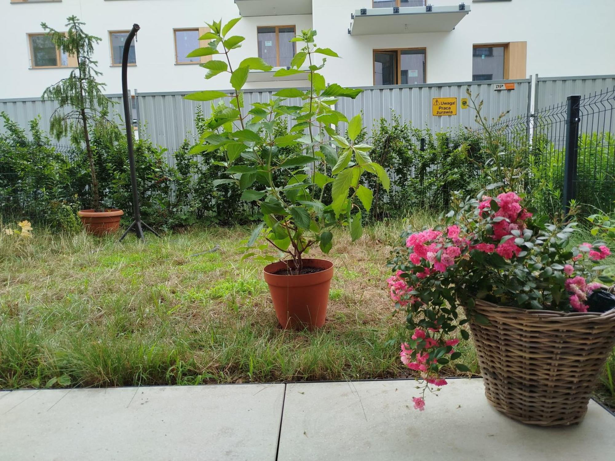 Talarowa Delux Varšava
